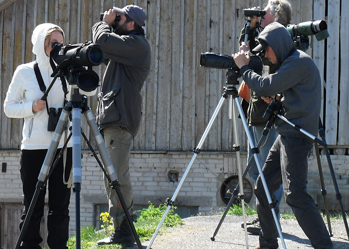 Põgari
Jaanika, Rene, Ukker ja Jände vaatlemas, 16.5.2009

Kuido Kõiv
Keywords: birders