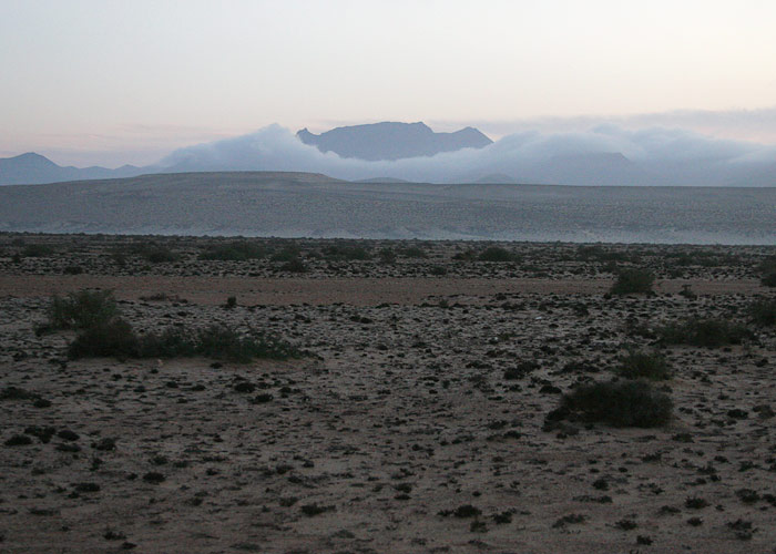 Kõrbetasandik Fuerteventuras
Selline on mustkõht-vurila, kõrbejooksuri, kaelustrapi, kõnnu-väljalõokese ja jämejala pesitsusbiotoop. Costa Calma, Fuerteventura, märts 2009

UP
Keywords: desert