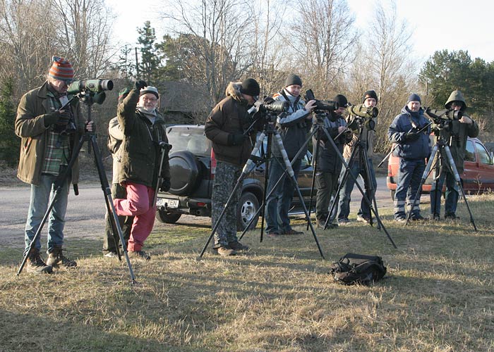 Estbirdingu liikmed vaatlemas
Esimesel üldkoosolekul osalejad hommikuvaatlusel Kablis.
Keywords: birders