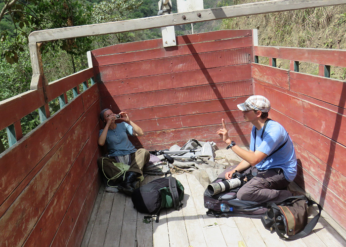 Kastikord
Peruu, sügis 2014

Rene Ottesson
Keywords: birders