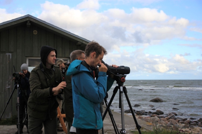 Estonian Open 2025
Liike tuleb üha juurde. Sten Lassmann ja Tarvo Valker.

Marika Mann
Keywords: birders