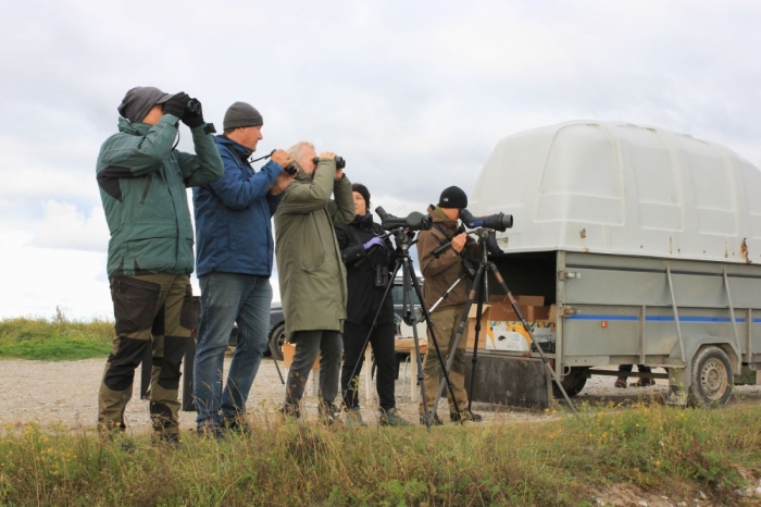 Estonian Open 2025
Kui diivanil selg kangeks jääb, tuleb püsti tõusta.

Marika Mann
Keywords: birders