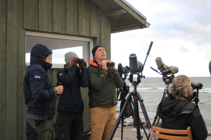 Estonian Open 2025
Võistkond Spunk Põõsaspeal.

Marika Mann
Keywords: birders