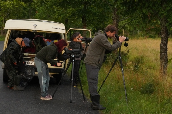 Estonian Open 2025
Kes näeb vaeva ja teeb tööd, saab hea skoori ja leiab ka mõned ässad.

Lembe Aasorg
Keywords: birders