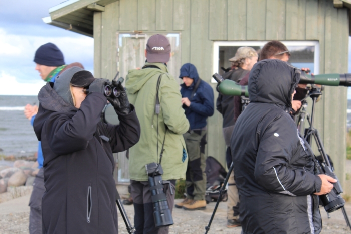 Estonian Open 2025
Võistkond Kahlajad aktsioonis.

Juhan Hepner
Keywords: birders