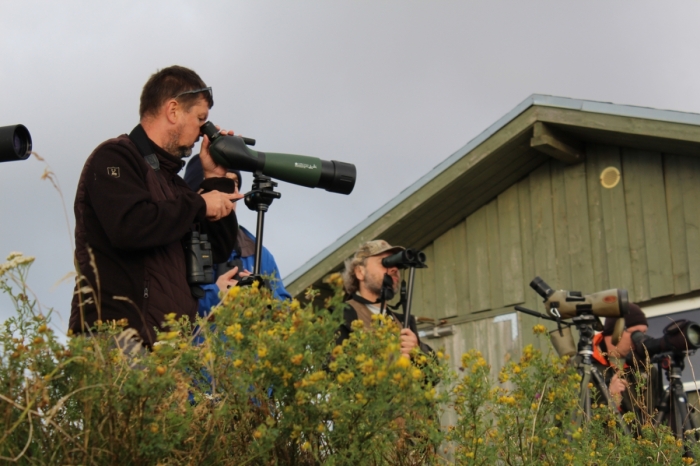 Estonian Open 2025
Michel Lehtmets võistkonnast Kahlaja.

Juhan Hepner
Keywords: birders