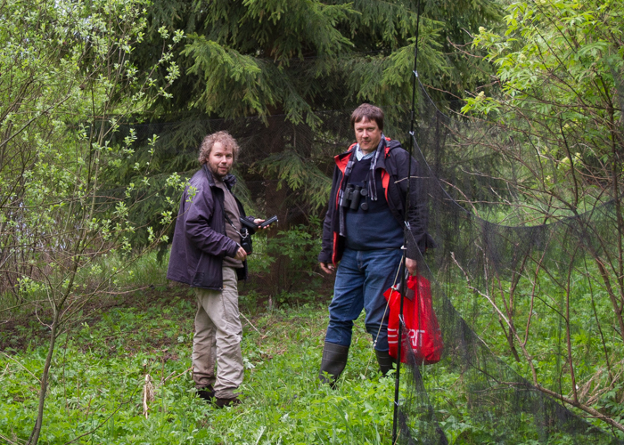 Aardlas
Antero ja MArgus väike-lehelindude geeniproove võtmas. Juuni, 2015.

UP
Keywords: birders