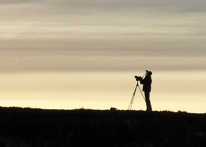 Hommikune staiar Sõrves
Sõrve Linnujaam, oktoober 2009

Kuido Kõiv
Keywords: birder