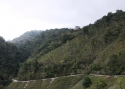 Filename=003167.jpg
Filesize=124KiB
Dimensions=700x500
Date added=Jun 19, 2014 003167.jpg