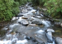 Filename=0049d75.jpg
Filesize=263KiB
Dimensions=700x500
Date added=Jun 19, 2014 0049d75.jpg