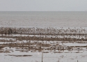 Filename=097limlim-TAI--2012-601.jpg
Filesize=101KiB
Dimensions=700x500
Date added=Jun 12, 2012 097limlim-TAI--2012-601.jpg