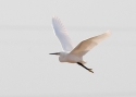 Filename=15.jpg
Filesize=48KiB
Dimensions=700x500
Date added=Mar 20, 2013 15.jpg