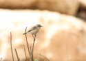 Filename=27.jpg
Filesize=78KiB
Dimensions=700x500
Date added=Mar 18, 2013 27.jpg