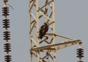 Filename=32.jpg
Filesize=119KiB
Dimensions=700x500
Date added=Mar 30, 2013 32.jpg