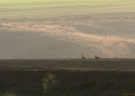 HUNT-IISRAEL-2008.jpg