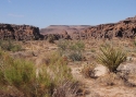 Filename=KIF_9187mojave.jpg
Filesize=115KiB
Dimensions=700x500
Date added=Nov 11, 2008 KIF_9187mojave.jpg