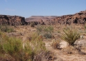 KIF_9187mojave.jpg