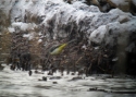 Filename=MOTCIN-Ruhnu-2_12_12-JT.jpg
Filesize=103KiB
Dimensions=700x500
Date added=Dec 18, 2012 MOTCIN-Ruhnu-2_12_12-JT.jpg