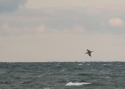 Filename=morbas-24_9_2013-Spithami.jpg
Filesize=130KiB
Dimensions=700x500
Date added=Jun 04, 2014 morbas-24_9_2013-Spithami.jpg