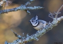 Filename=parcri_2015.jpg
Filesize=299KiB
Dimensions=700x500
Date added=Oct 13, 2015 parcri_2015.jpg