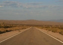 Filename=tee-Arizonas.jpg
Filesize=40KiB
Dimensions=700x500
Date added=Nov 11, 2008 tee-Arizonas.jpg