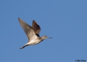 Filename=tneb_vmts_2015.jpg
Filesize=197KiB
Dimensions=700x500
Date added=Jun 09, 2015 tneb_vmts_2015.jpg