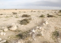 Filename=tv_nizzana1.JPG
Filesize=262KiB
Dimensions=700x499
Date added=Mar 18, 2013 tv_nizzana1.JPG