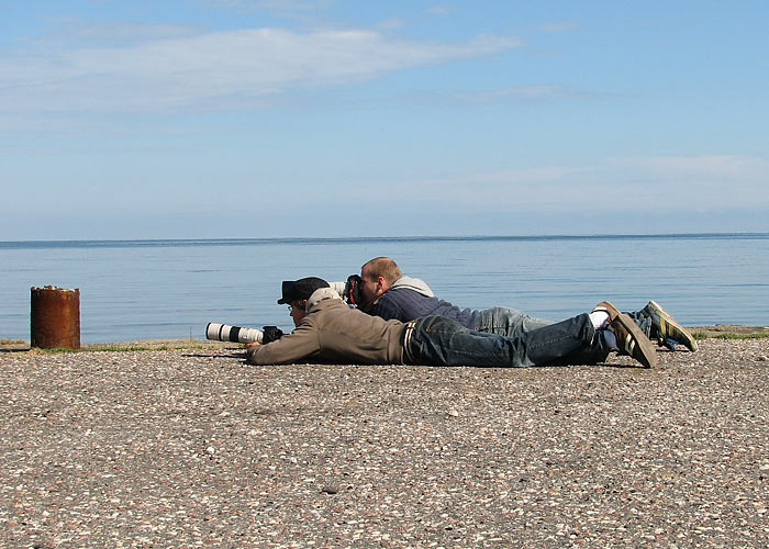 Roomajad
Ukker ja Dzhair luuravad. Hiiumaa, mai 2008.

Ranno Puumets
Keywords: birders