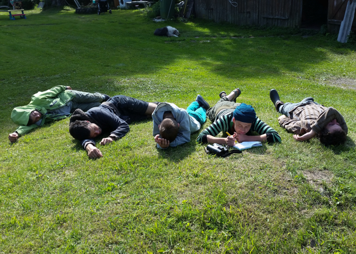 Vaibla töölaager
Rõngastamine on kontimurdev töö, Vaibla linnujaam, juuli 2015.

UP
Keywords: birders