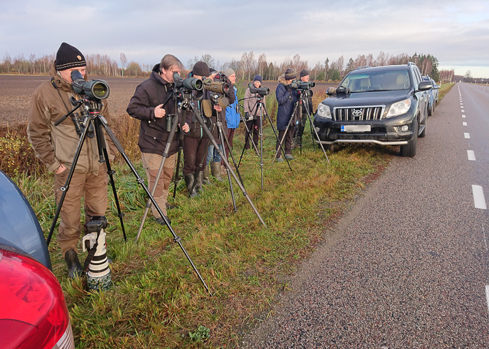 Harksaba-kajakat vaatlemas
Pärnumaa, oktoober 2019

Tiiu Tali
Keywords: birders